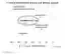 Fig. 09 - COMPOSITIONS AND METHODS USING SUBSTANCES CONTAINING CARBON