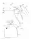Fig. 02 - Hand held device for injecting pressurized products into soil