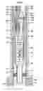 Fig. 07 - Electrical submersible pumping system with gas separation and gas venting to surface in separate conduits