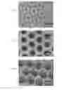 Fig. 05 - METHOD FOR THE PRODUCTION OF AN ORDERED POROUS STRUCTURE FROM AN ALUMINIUM SUBSTRATE
