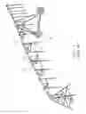 Fig. 02 - Water outlet coupler
