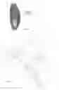 Fig. 03 - Pressure bulkhead made of composite material for an aircraft