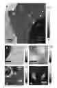 Fig. 01 - SELF-ASSEMBLED ORGANIC MONOLAYERS ON GRAPHENE AND METHODS OF MAKING AND USING