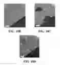 Fig. 14 - SELF-ASSEMBLED ORGANIC MONOLAYERS ON GRAPHENE AND METHODS OF MAKING AND USING