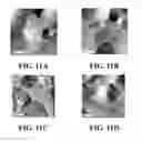 Fig. 15 - SELF-ASSEMBLED ORGANIC MONOLAYERS ON GRAPHENE AND METHODS OF MAKING AND USING