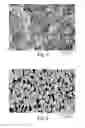 Fig. 02 - Methods for Forming Microporous and Antimicrobial Articles