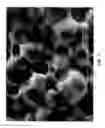 Fig. 02 - Nitride sintered body and method for manufacturing thereof