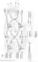 Fig. 06 - Active butler and blass matrices