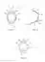 Fig. 02 - Intelligent patient interface for ophthalmic instruments