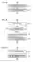 Fig. 07 - Information processing apparatus, and information processing method