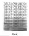 Fig. 09 - Method for adjusting quality of a pantograph background pattern
