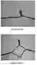 Fig. 06 - Cluster Lamp having Wire with Meshed Layer