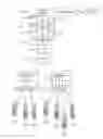 Fig. 01 - Optimizing video transmission over mobile infrastructure