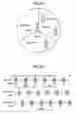 Fig. 04 - OFDMA communication apparatus