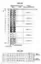 Fig. 09 - OFDMA communication apparatus