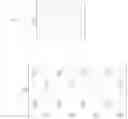 Fig. 33 - MIMO codebook generation