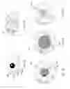 Fig. 29 - Orthovoltage radiotherapy