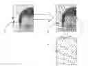 Fig. 01 - Method and apparatus to mark a document using a combination between guilloches and watermarking, method and apparatus to read previous combination