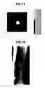 Fig. 08 - Infrared-ray thermal image analyzer