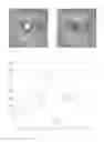 Fig. 01 - Detecting redeye defects in digital images
