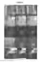 Fig. 07 - System and method for aligning video sequences