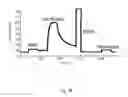 Fig. 03 - Protein engineering strategies to optimize activity of surface attached proteins