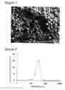 Fig. 03 - Group II metal sulfide phosphor precursor and method for producing phosphor
