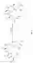 Fig. 04 - PEPTIDES THAT SPECIFICALLY BIND HGF RECEPTOR (CMET) AND USES THEREOF