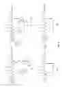 Fig. 06 - PEPTIDES THAT SPECIFICALLY BIND HGF RECEPTOR (CMET) AND USES THEREOF