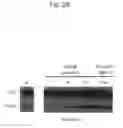 Fig. 32 - NOVEL BONE MASS INCREASING AGENT