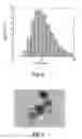 Fig. 05 - Nanoparticles for brain tumor imaging