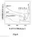 Fig. 06 - Nanoparticles for brain tumor imaging