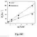 Fig. 12 - Nanoparticles for brain tumor imaging