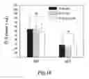 Fig. 22 - Nanoparticles for brain tumor imaging