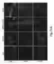 Fig. 25 - Nanoparticles for brain tumor imaging