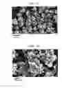 Fig. 03 - COSMETIC COMPOSITION