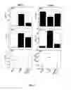 Fig. 23 - Products for altering IL-33 activity and methods thereof