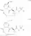 Fig. 06 - Macrocyclic serine protease inhibitors