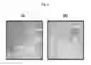 Fig. 07 - USE OF HUMAN ANTIBODY CAPABLE OF NEUTRALIZING HEPATITIS B VIRUS FOR THE PREVENTION OR TREATMENT OF HEPATITIS B VIRUS INFECTION