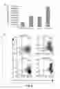 Fig. 09 - IRF-4 AS A TUMOR SUPPRESSOR AND USES THEREOF
