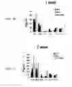 Fig. 07 - Materials and Methods for Treating Allergic and Inflammatory Conditions