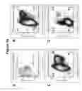Fig. 35 - Methods of producing pancreatic hormones