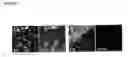 Fig. 04 - ROLE FOR SRY IN PARKINSON'S DISEASE
