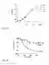 Fig. 03 - Anti aging agents and methods to identify them