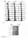 Fig. 04 - Anti aging agents and methods to identify them