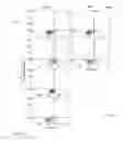 Fig. 06 - Anti aging agents and methods to identify them