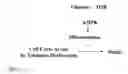 Fig. 09 - Anti aging agents and methods to identify them