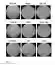 Fig. 10 - Anti aging agents and methods to identify them