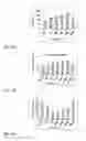 Fig. 11 - Anti aging agents and methods to identify them