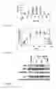 Fig. 12 - Anti aging agents and methods to identify them